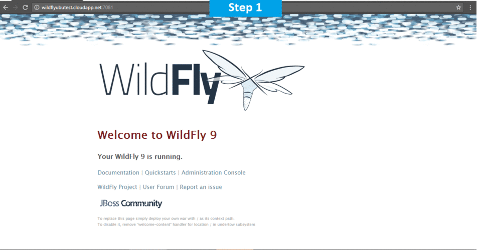 installation-instructions-wildfly-on-cloud-on-azure-aws